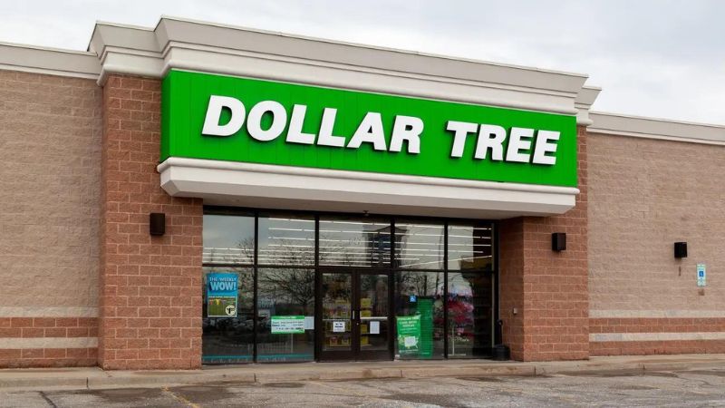 8 Best New Dollar Tree Items That Are Worth Every Penny