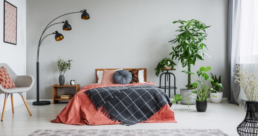 Top 10 Bedroom Plants For Improved Sleep