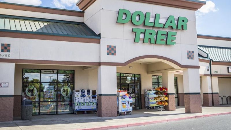 7 Green Living Items You Can Buy at the Dollar Store to Save Money
