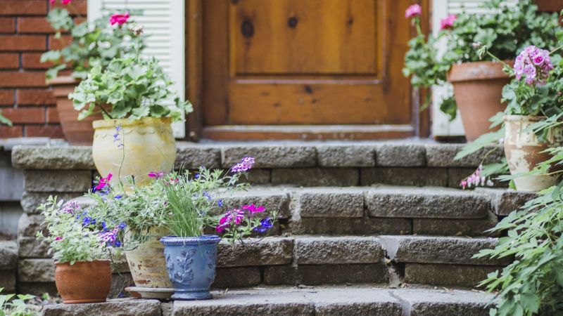 8 Front Door Plants for a Showstopping Entrance